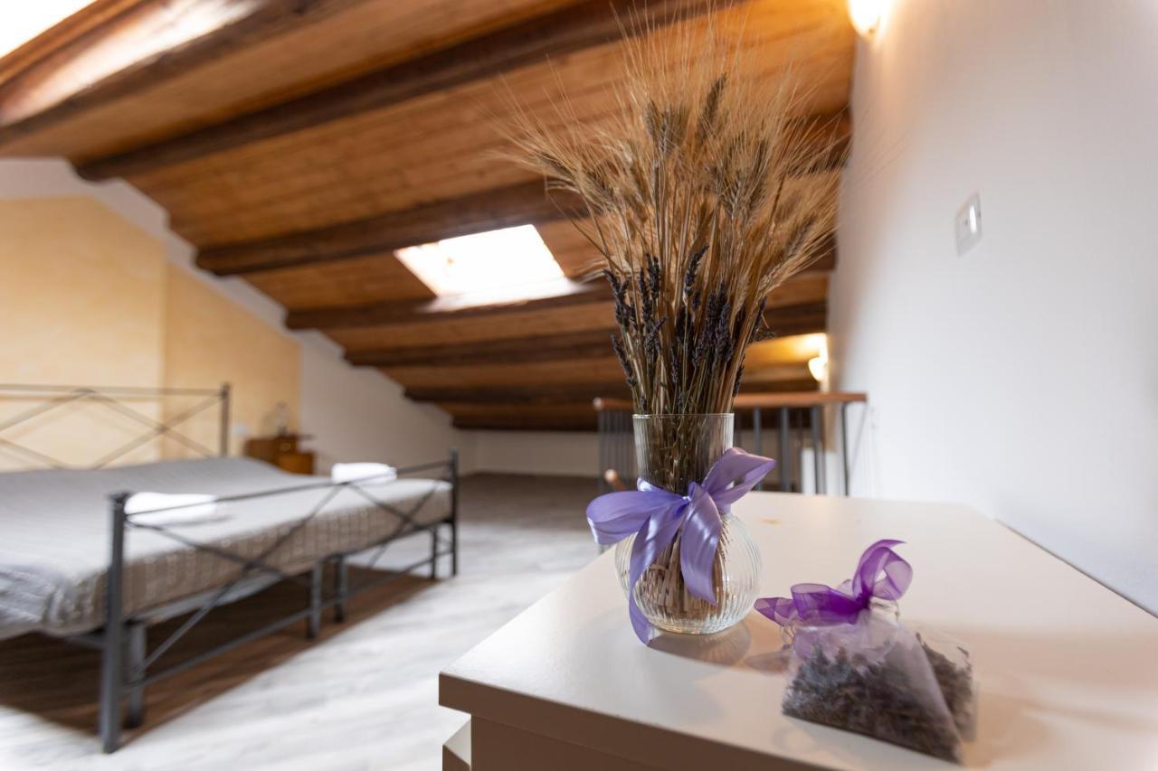 Agriturismo La Valle Della Lavanda - Podere Mezzastrada Fauglia 外观 照片