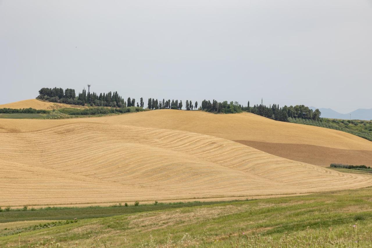 Agriturismo La Valle Della Lavanda - Podere Mezzastrada Fauglia 外观 照片