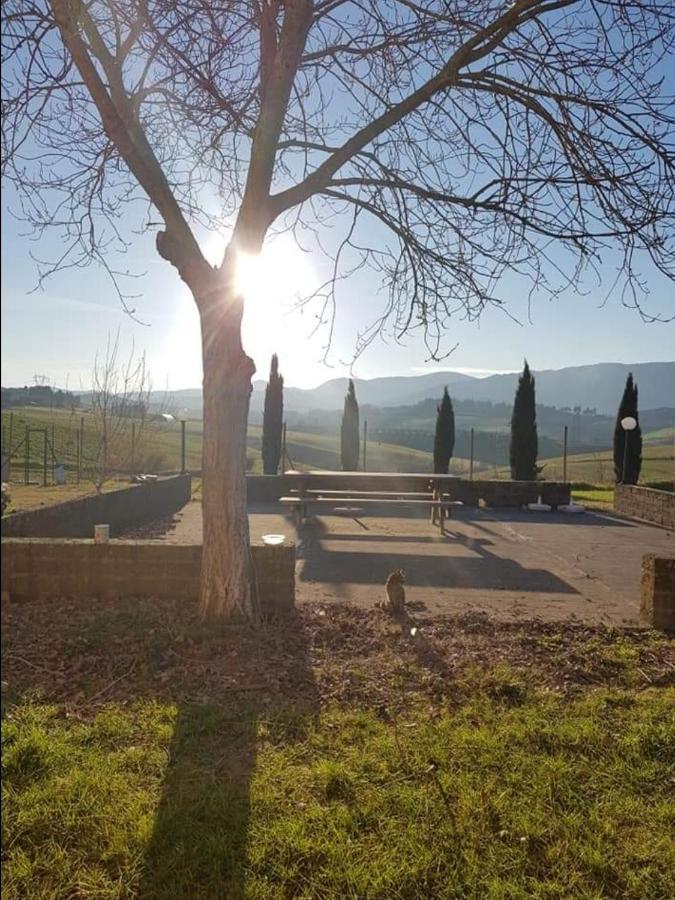 Agriturismo La Valle Della Lavanda - Podere Mezzastrada Fauglia 外观 照片