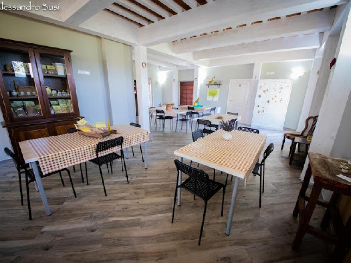 Agriturismo La Valle Della Lavanda - Podere Mezzastrada Fauglia 外观 照片