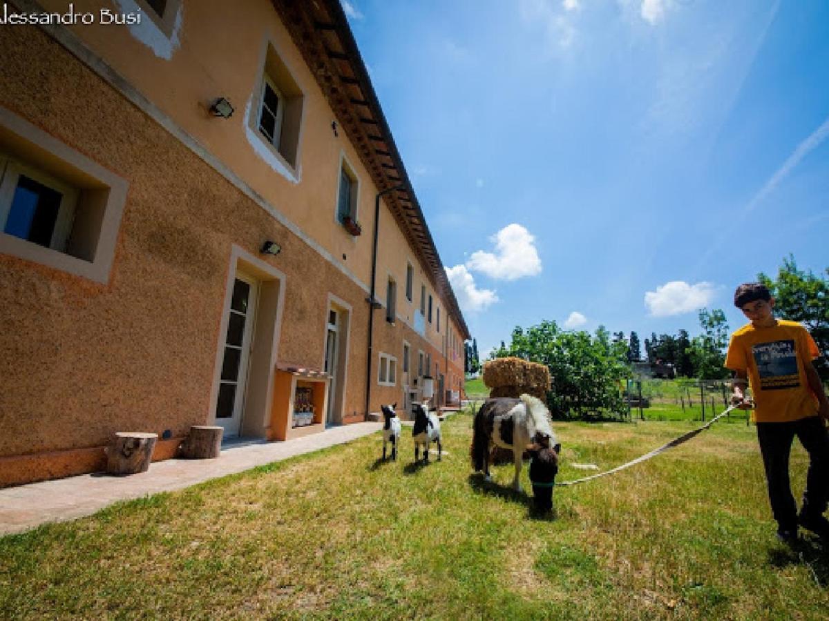 Agriturismo La Valle Della Lavanda - Podere Mezzastrada Fauglia 外观 照片
